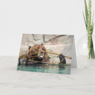 Carte De Remerciements Ours grizzli Jouer dans l'eau