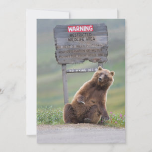 Carte De Remerciements Ours Grizzly Joue Avec Un Panneau