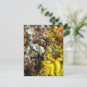 Carte De Remerciements Palette de l'artiste #1 (Debout devant)