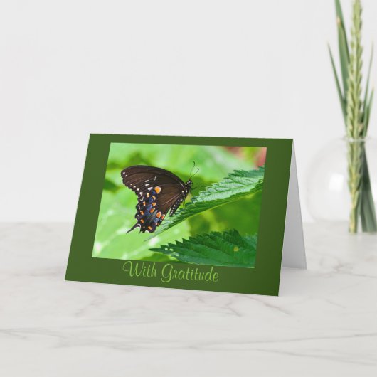 Carte de remerciements papillon (Devant)