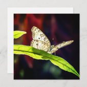 Carte de remerciements papillon (Devant / Derrière)