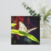 Carte de remerciements papillon (Debout devant)