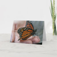 Carte de remerciements papillon