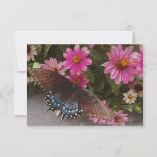 Carte De Remerciements papillon bleu (Devant)