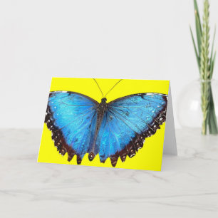 Carte De Remerciements Papillon bleu