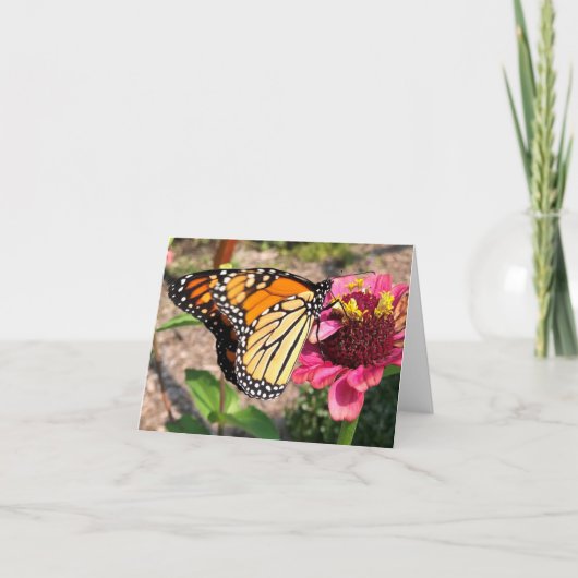 Carte De Remerciements Papillon Dans Le Jardin (Devant)