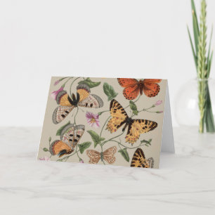 Carte De Remerciements Papillon Moth Nature Collection Dessin