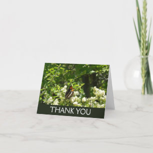 Carte De Remerciements Papillon-soeur de Californie en Yosemite
