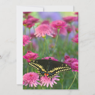 Carte De Remerciements Papillon swallowtail noir sur fleur rose foncé