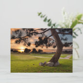 Carte De Remerciements Parcours de golf Sunset (Debout devant)