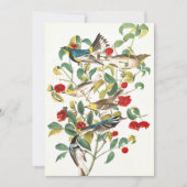 Carte De Remerciements Paruline par John James Audubon (Devant)