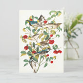 Carte De Remerciements Paruline par John James Audubon (Debout devant)