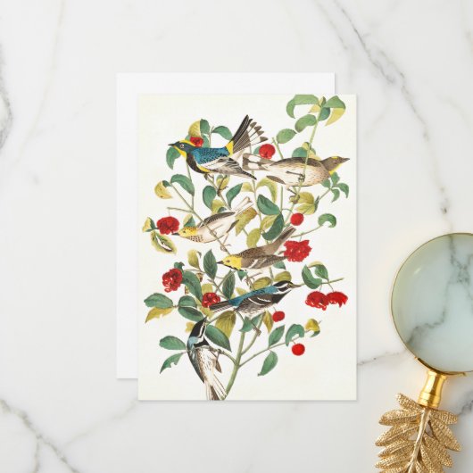 Carte De Remerciements Paruline par John James Audubon (Devant/Arrière en situation)