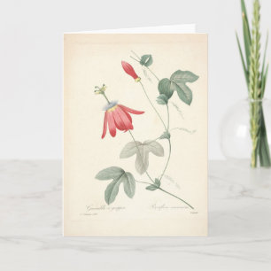 Carte De Remerciements Passiflora par Redoute Botanical Sympathy Card