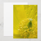 Carte De Remerciements Pavot jaune oriental (Devant / Derrière)