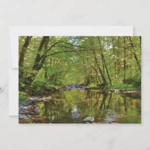Carte De Remerciements Paysage de la rivière Wilson