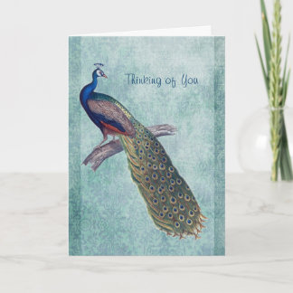 Carte De Remerciements Peacock on Watercolor Damask Thinking of You