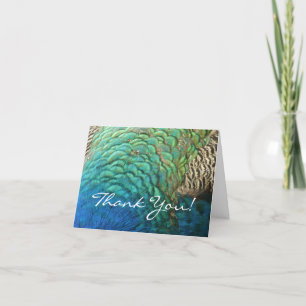 Carte De Remerciements Peacock Plumes I Colorful Abstrait Nature Design