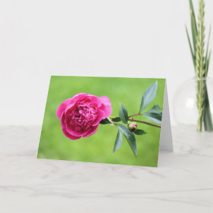 Carte De Remerciements Peine rose vif