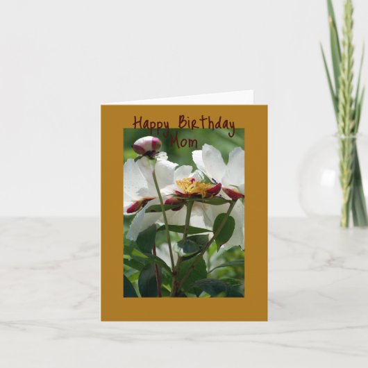 Carte De Remerciements Peony blanc (Devant)
