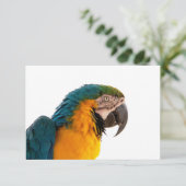 Carte De Remerciements Perroquet (Debout devant)