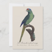 Carte De Remerciements Perruche à front orange, Eupsittula Canicularis (Devant)