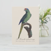 Carte De Remerciements Perruche à front orange, Eupsittula Canicularis (Debout devant)
