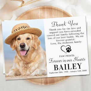 Carte De Remerciements Pet Memorial Dog Loss Modern Photo Sympathy