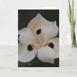 Carte De Remerciements petits pétales de fleurs