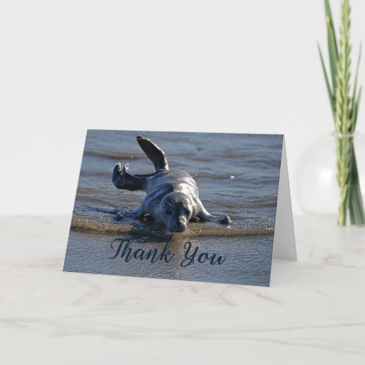 Carte de remerciements photo Baby Harbour Seal (Devant)