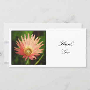 Carte De Remerciements Photo carré - African Daisy