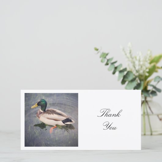 Carte De Remerciements Photo carré - Canard colvert (Debout devant)