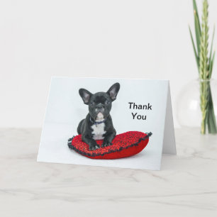 Carte De Remerciements Photo Coussin noir de Bulldog en France