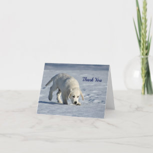 Carte De Remerciements Photo de Cute White Puppy Snow