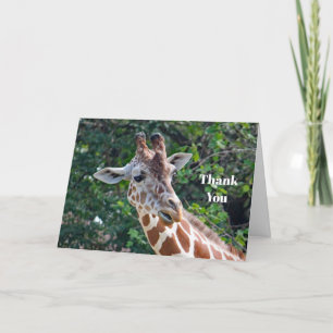 Carte De Remerciements Photo de la Giraffe Faune