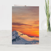 Carte de remerciements photo de mariage d'hiver de (Dos)