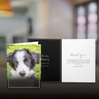 Photo de sympathie pour perte d'animal familier Ca