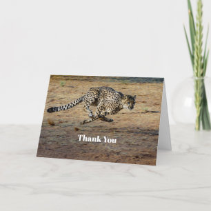 Carte De Remerciements Photo de Wildlife Cheetah Running