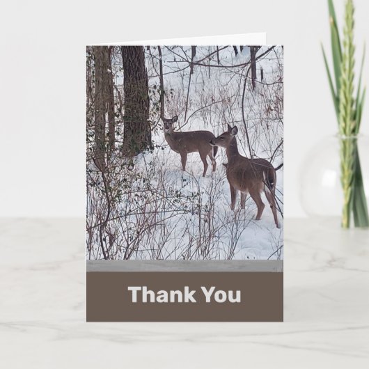 Carte de remerciements photo Deer in Snow (Devant)