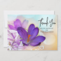 Photo d'un joli Crocus de printemps violet
