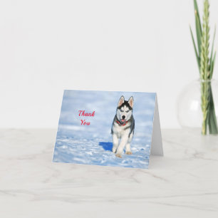 Carte De Remerciements Photo Husky Puppy Neige