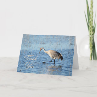 Carte de remerciements photo Sandhill Crane Wading