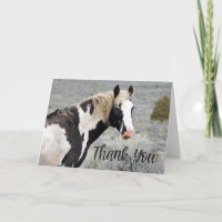 Carte de remerciements photo Wild Pinto Stallion