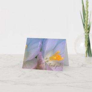 Carte De Remerciements Photographie de Crocus de printemps