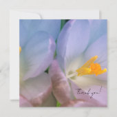 Carte De Remerciements Photographie de crocus de printemps (Devant)