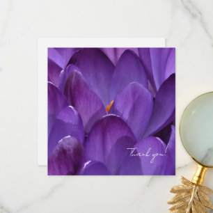 Carte De Remerciements Photographie de fleurs de crocus de printemps
