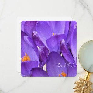 Carte De Remerciements Photographie de fleurs de crocus de printemps