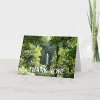 Photographie de la forêt tropicale humide des chut