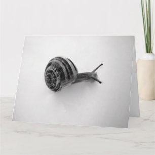 Carte De Remerciements Photographie de la nature d'un escargot de jardin