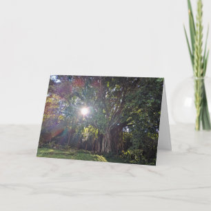 Carte De Remerciements Photographie de paysage naturel hawaïen